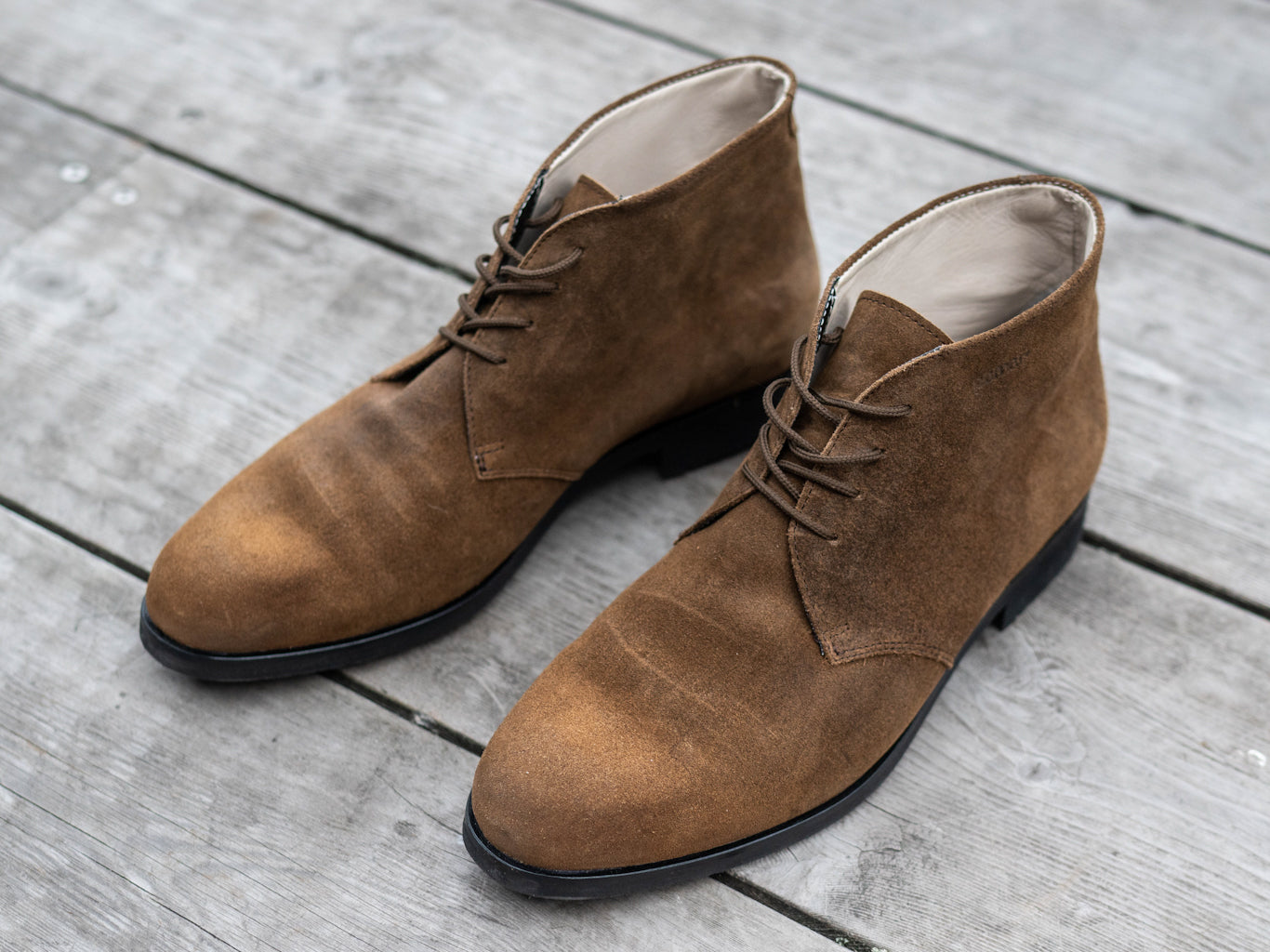 TARMO Men's Chukka boots (48132-402)